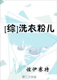 洗衣粉儿[综武侠