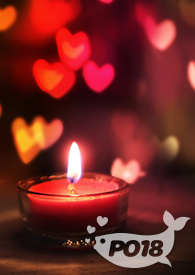 女尊之侧夫（H）